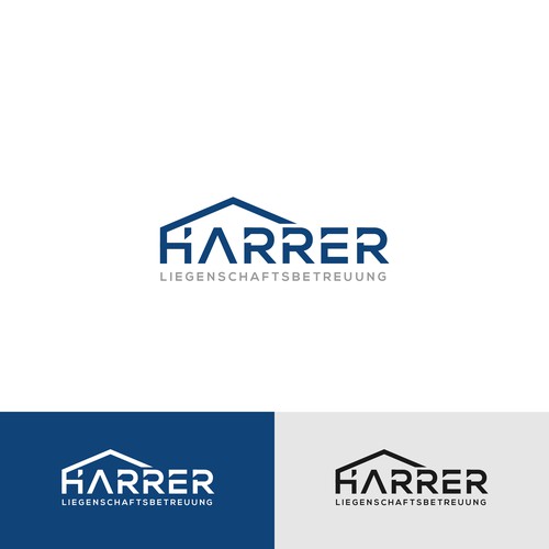 Logo y paquete de imagen corporativa propuesta en el concurso por OpheRocklab