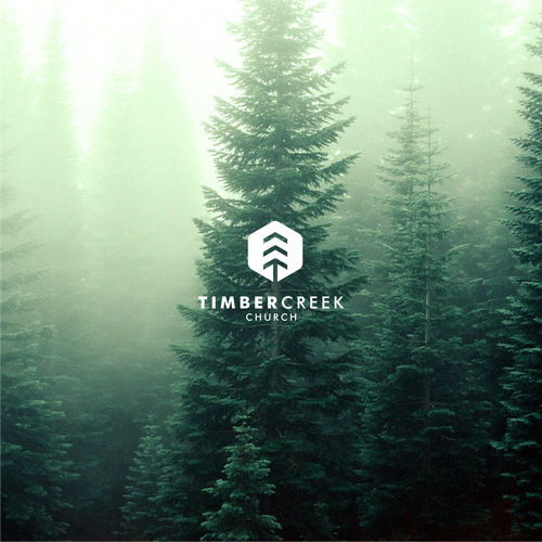 Create a Clean & Unique Logo for TIMBER CREEK Design von hacilos