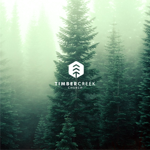 Design di Create a Clean & Unique Logo for TIMBER CREEK di hacilos