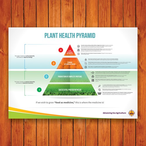 Design a Plant Health Pyramid Infographic | concurso Infografía