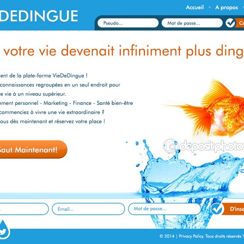Landing page design contest entry by Samodiva