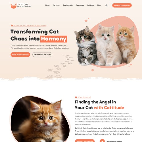 Create a website refresh for a cat behavior consultant! Design by Isaac Creative