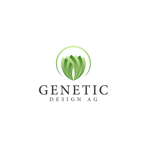 Logotipos propuesta en el concurso por LivRayArt