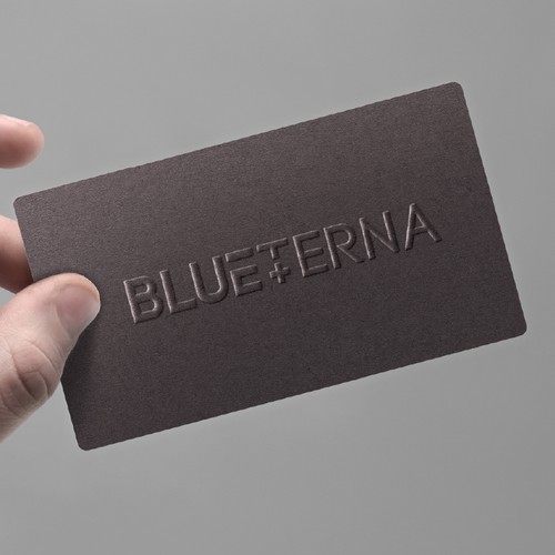 Blueterna Branding contest Design by Imam H.