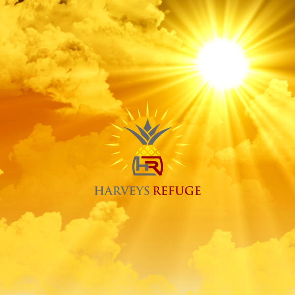 Design by H.O.K.I ® titled "Harveys Refuge"