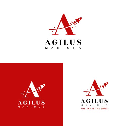 Logo for project "agilus-maximus.com" Design by MOHStudio_