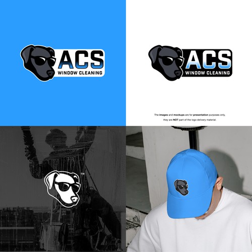 We need a new home service logo/ brand for a window cleaning business Design by Lion Studios®