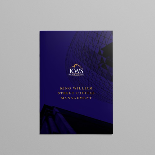 Design a high end marketing brochure for a start up fund Design by OffGrid