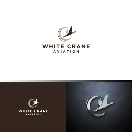 Logo for a Safe and Modern Aircraft rental company Design by ybur10