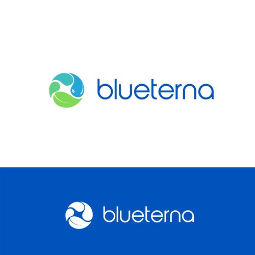 Blueterna Branding contest Design by xxmmxmmxxm
