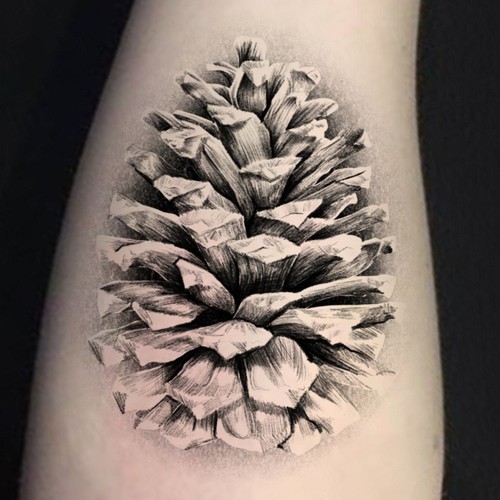 Pine Cone Tattoo Design Design by ANTICON