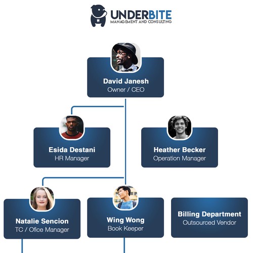 Organizational Chart for Dental Group Design by Noah E.