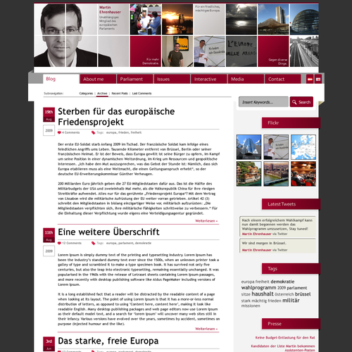 Wordpress Theme for MEP Martin Ehrenhauser Design por dsndrq