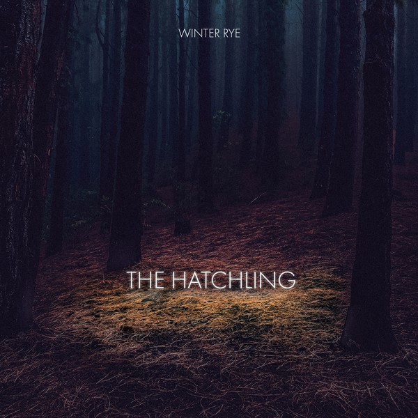 The hatchling album cover proposal