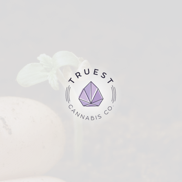 Modern logo for cannabis growing brand