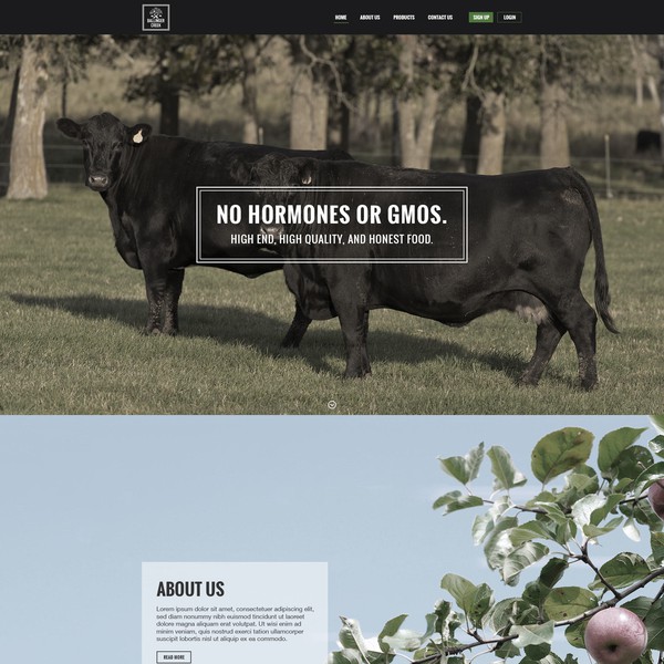 Organic Farm Landing Page
