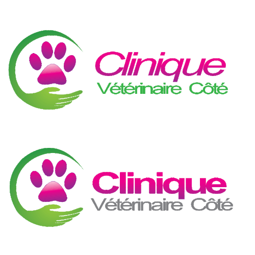  contest entry by DNS design