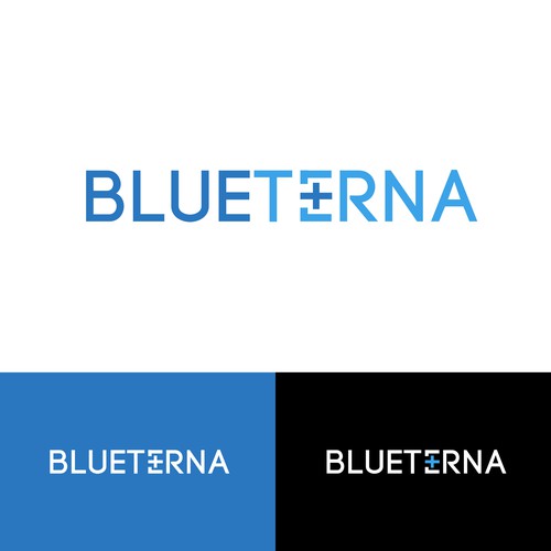 Blueterna Branding contest Design by Imam H.