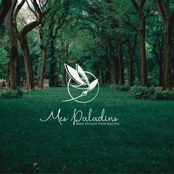 Design by Studio Clevrik titled "Logo (+Brandguide) for Mes Paladins"