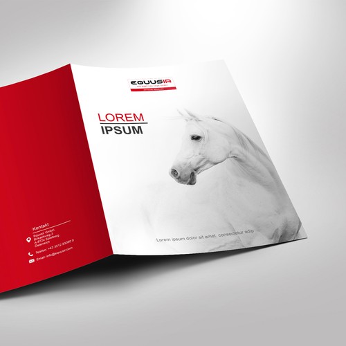 Brochure contest entry by Vivan M