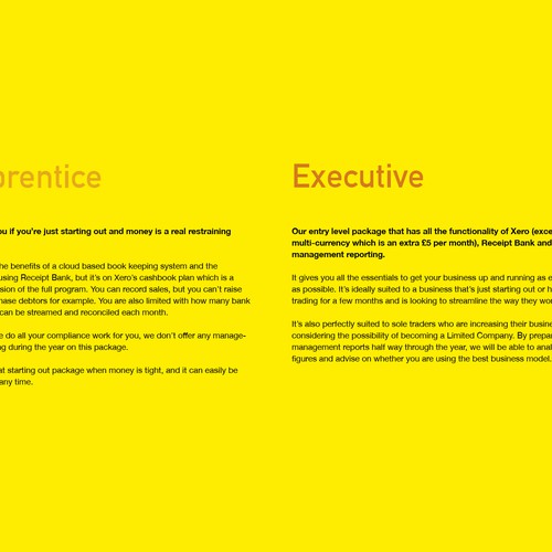 Design an amazing e-brochure for a not-so-typical accountancy firm! Design by Shwin