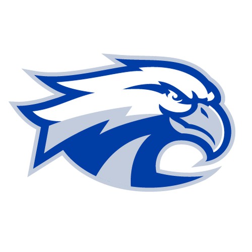 High-Flying Eagle Logo for a High-Performing School District Design by REDPIN
