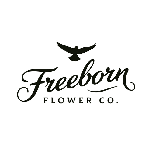 Logo and branding for a North Carolina cannabis and lifestyle brand Design by Alexandr_up