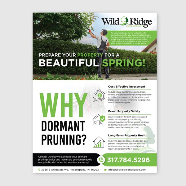 Creative eye catching flyer design for Wild Ridge