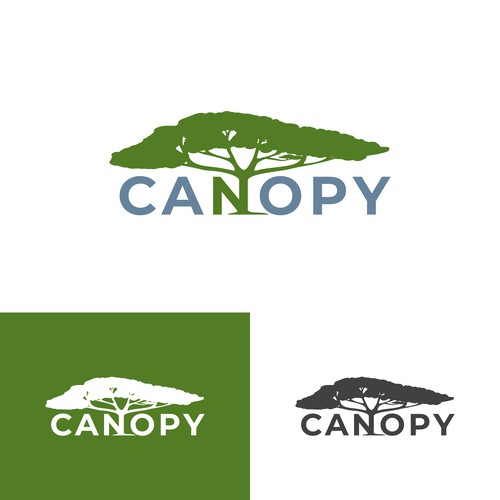 Canopy Logo Design by delly_martin