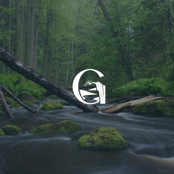 Diseño de _rifsaa_ titulado "THE GORGE"