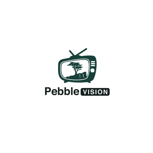 PebbleVision Design by dx46