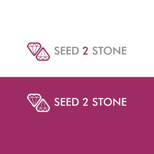 Design di S2S new LOGO di T80