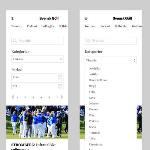Web page design contest entry by SouerBerry