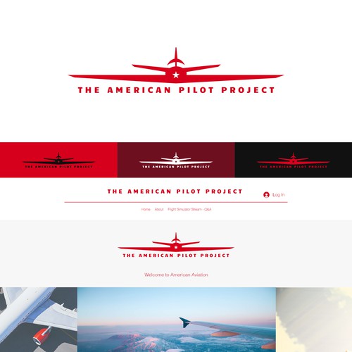 Become a part of the legacy that is American aviation! Design by OwlRoses.art