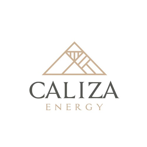 Energy startup Logo to impress investors and early employees Design by FreehubCo™