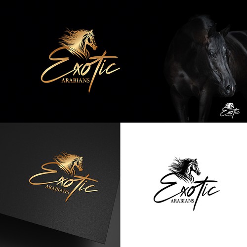 Design my stable logo Diseño de **Anne Pavesi**