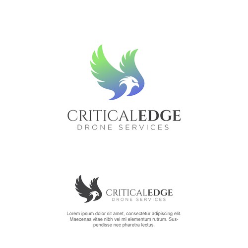 We need a logo design for new Drone inspection and survey company Design by hasnagraphics