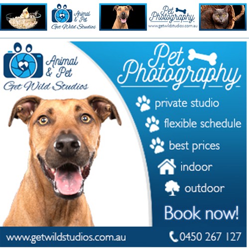 Pet Photography Ads -Ongoing Work for Winner! | Banner ad contest