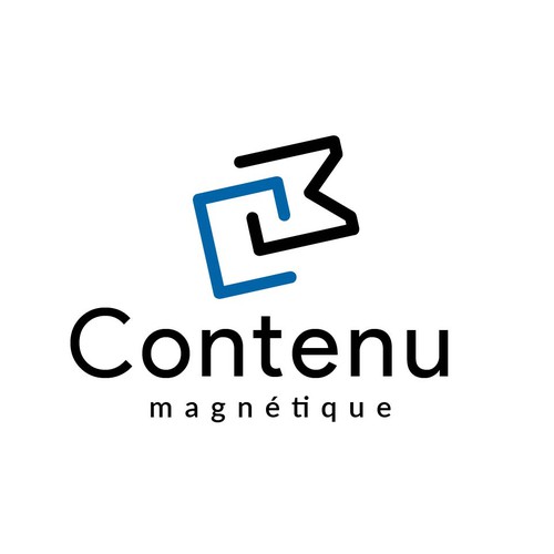 Logo design contest entry by winningdesignentry