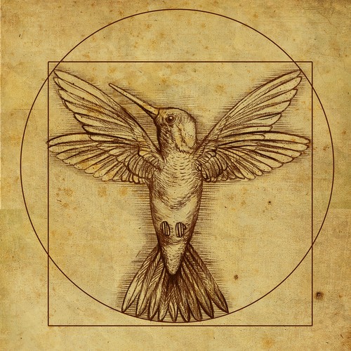 Design di Leonardo da Vinci - Hummingbird Drawing di lofosparalogos