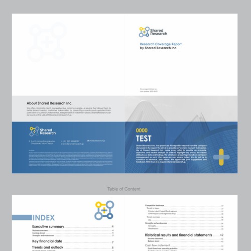 New PDF designs for Company Report Design by Dzine Solution