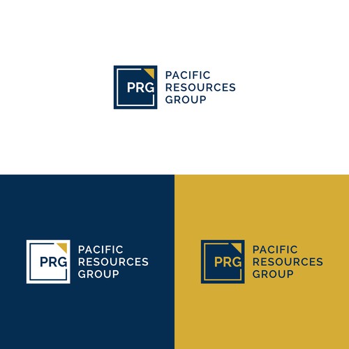 GraphicAjwaさんのPRG Logo and Brand Guideデザイン