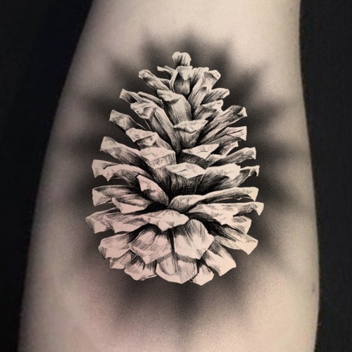 Pine Cone Tattoo Design Design by ANTICON