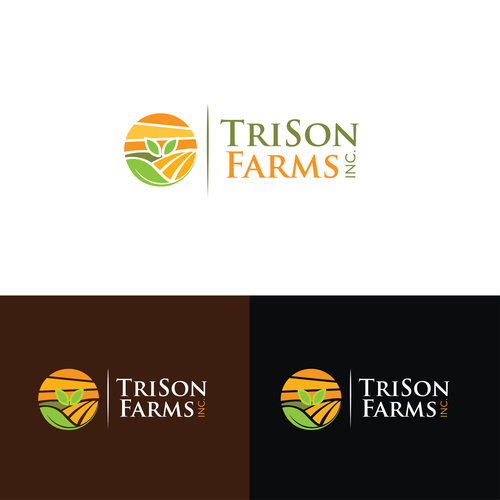 Create a modern logo incorporating 3 suns/agriculture for a well known Canadian marketing company Réalisé par Brand Mania