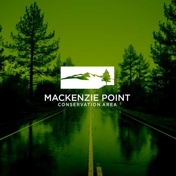 Design by Atpid♥ titled "logo designs"