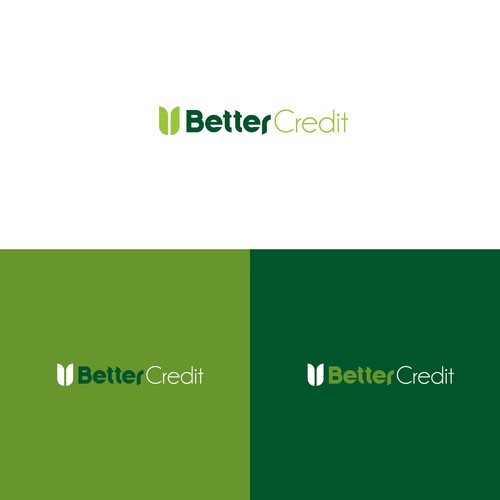 Logo needed for Financial Services company. Design by BaiDell®