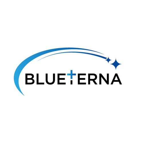 Blueterna Branding contest Design by v4lkyrie