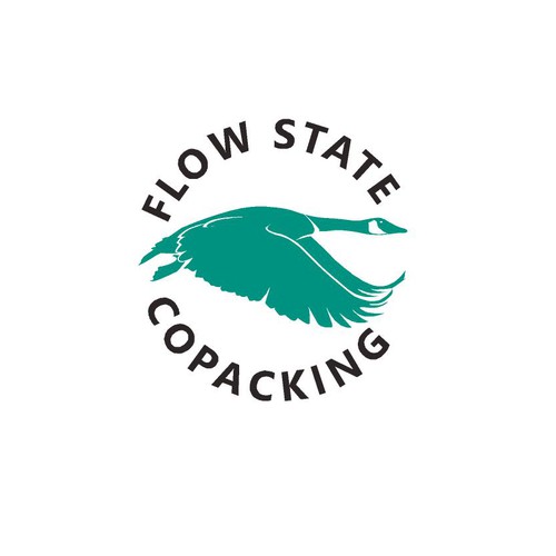 Flow State logo Design by T80