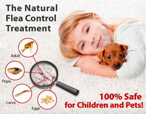 Tick logo with the title 'New design wanted for Rx for Fleas'