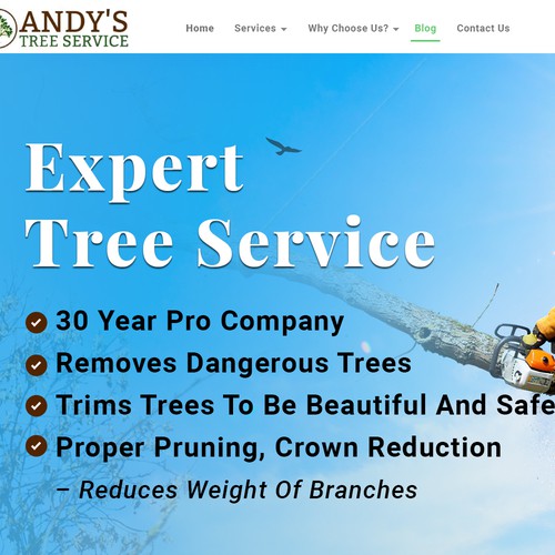 Redesign top section of website Design von Atul-Arts